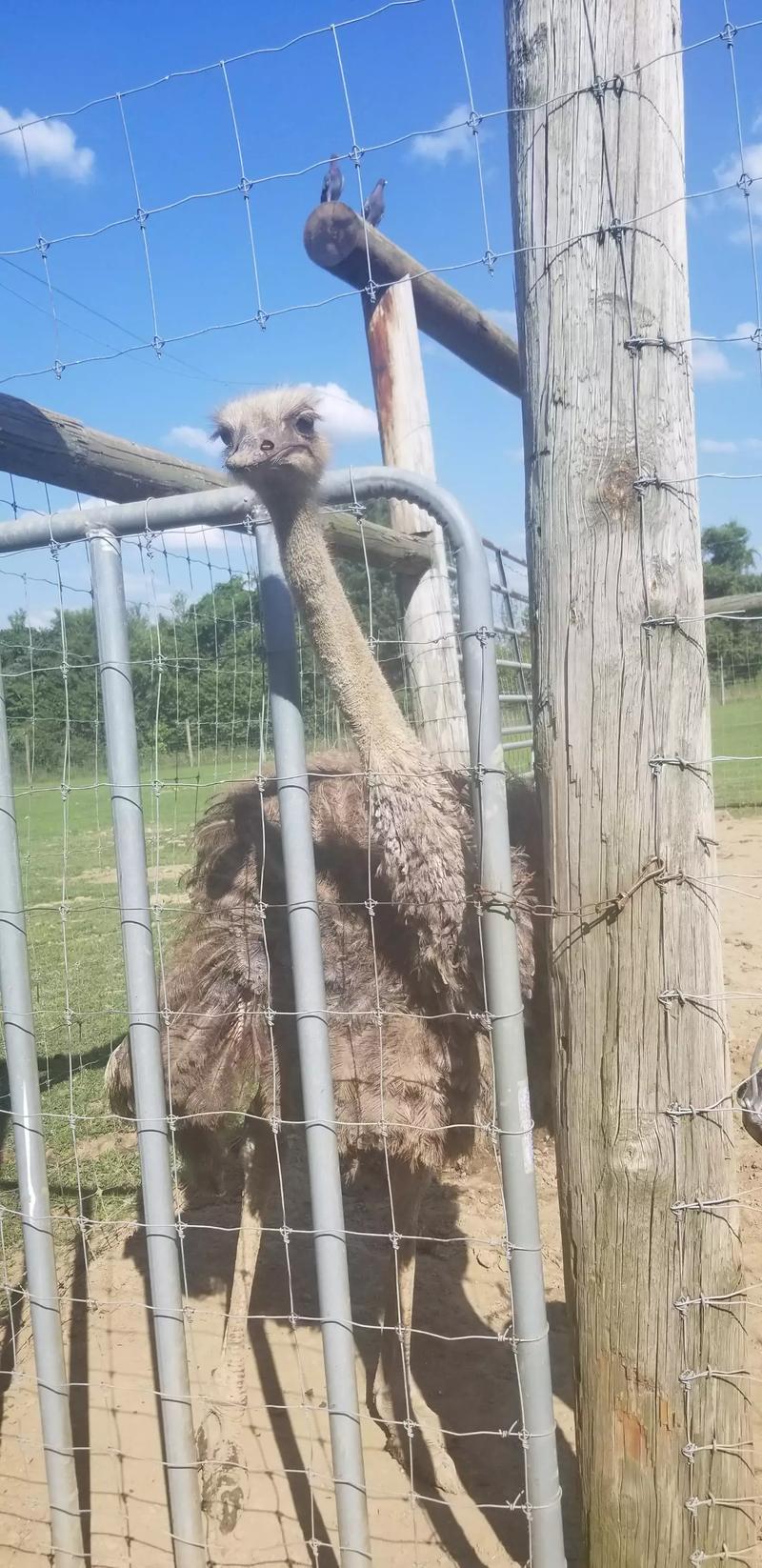 Multi Family Yard Sale !!! for sale in South Park, PA 5miles Buy and