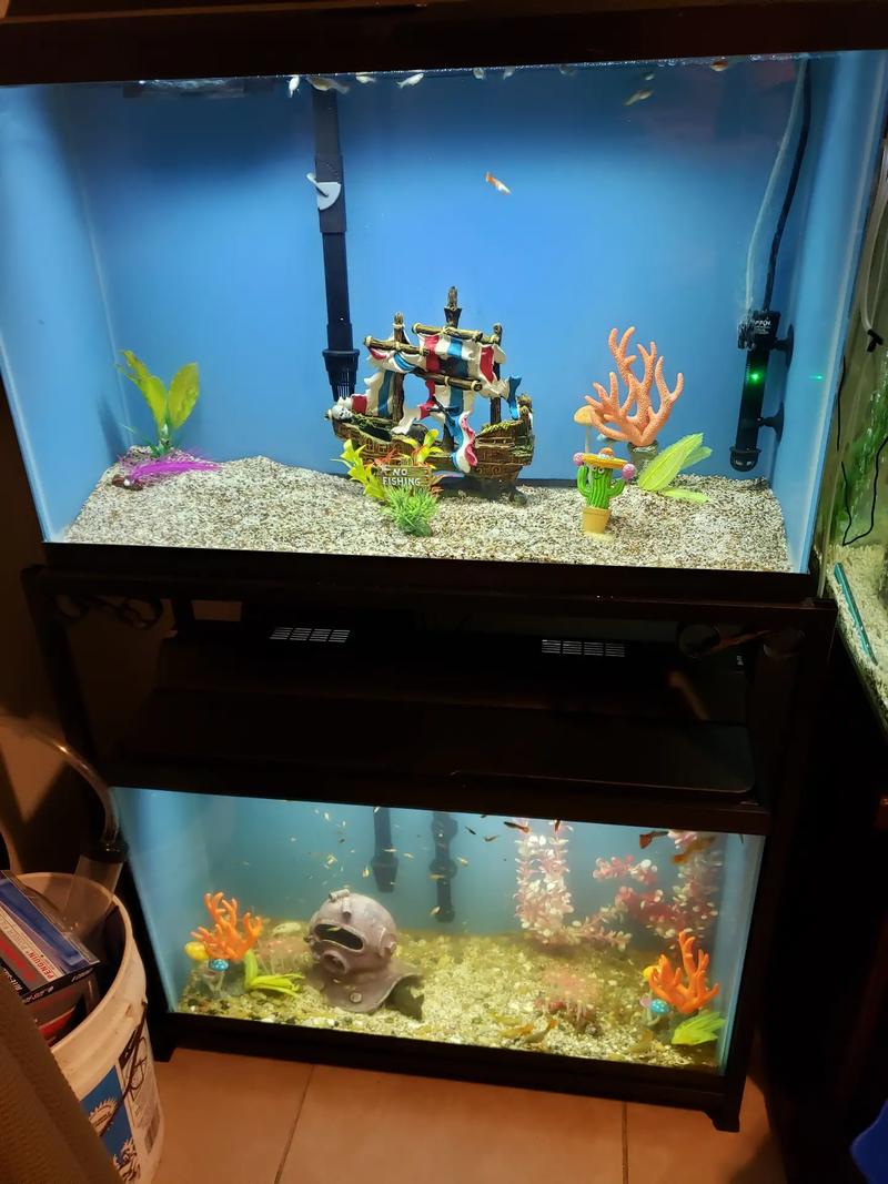 Fish tank for sale in Houston, TX 5miles Buy and Sell