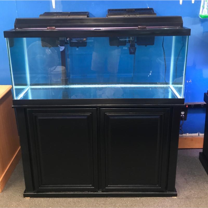 75 gallon like new aquarium fish tank complete 500 for sale in