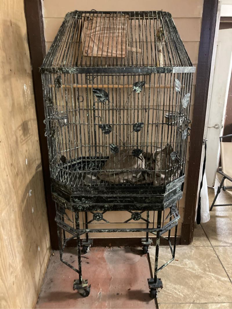 Bird cage for sale in Homestead, FL 5miles Buy and Sell