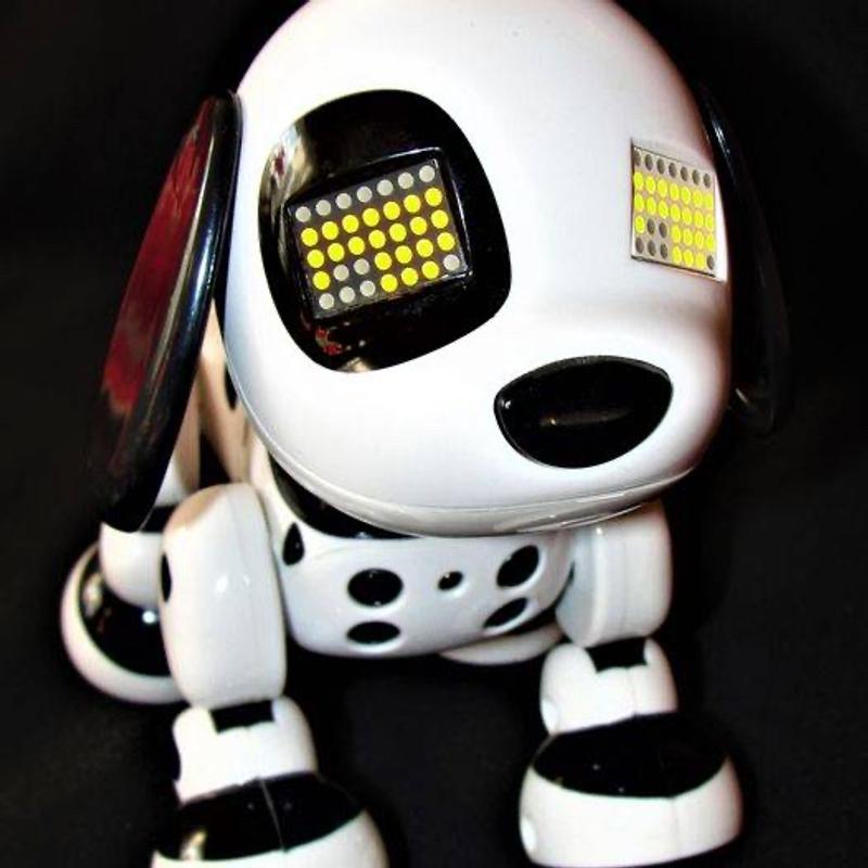 Zoomer Zuppies Zoomer Zoomie Black White Robot Interactive Dog Spin Master Puppy for sale in
