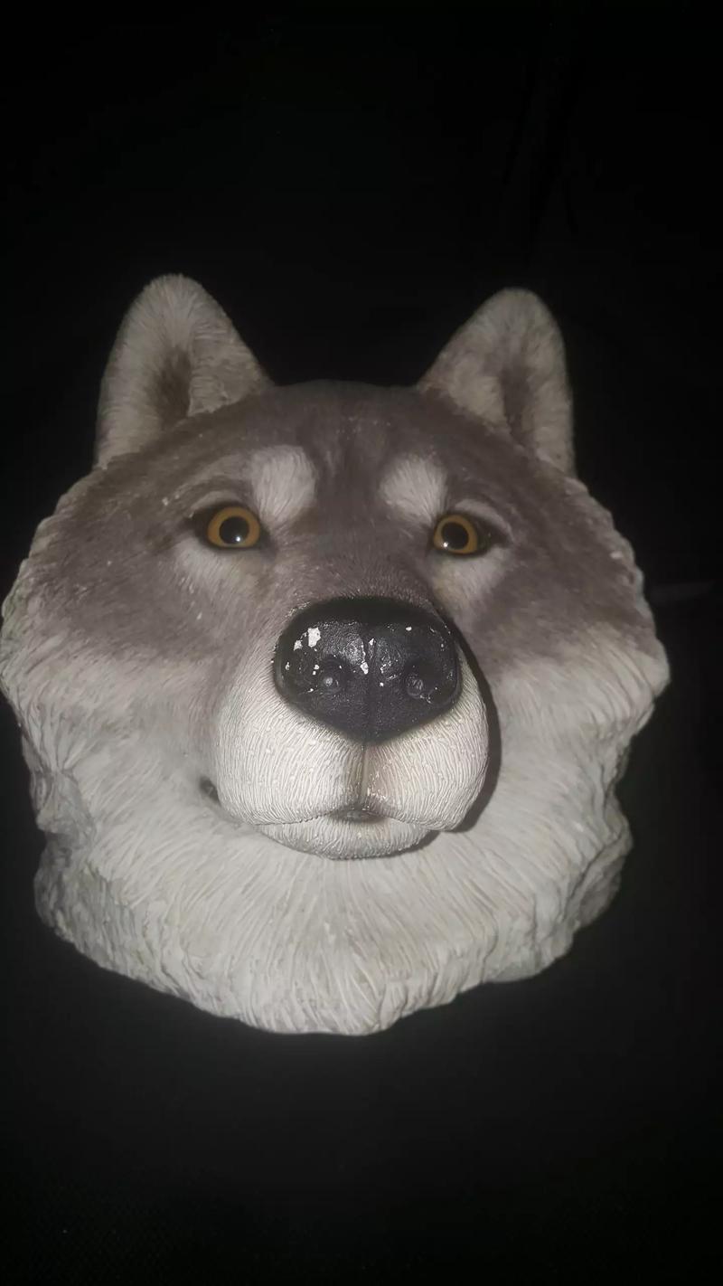 Rare Sandicast Large Gray Wolf head bust sculpture for sale in Chicago