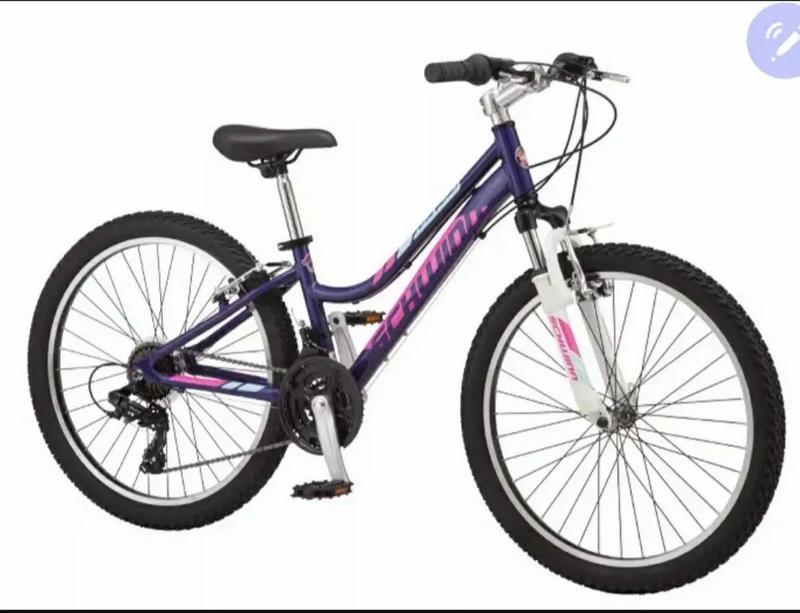 schwinn ranger 24 purple
