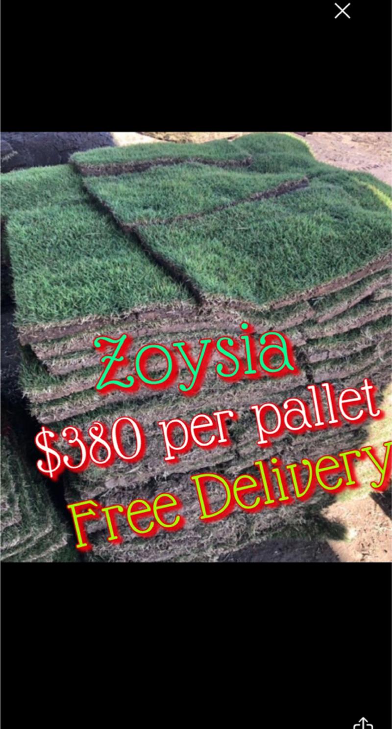 Zoysia grass Pallets for sale in Sugar Land, TX 5miles Buy and Sell