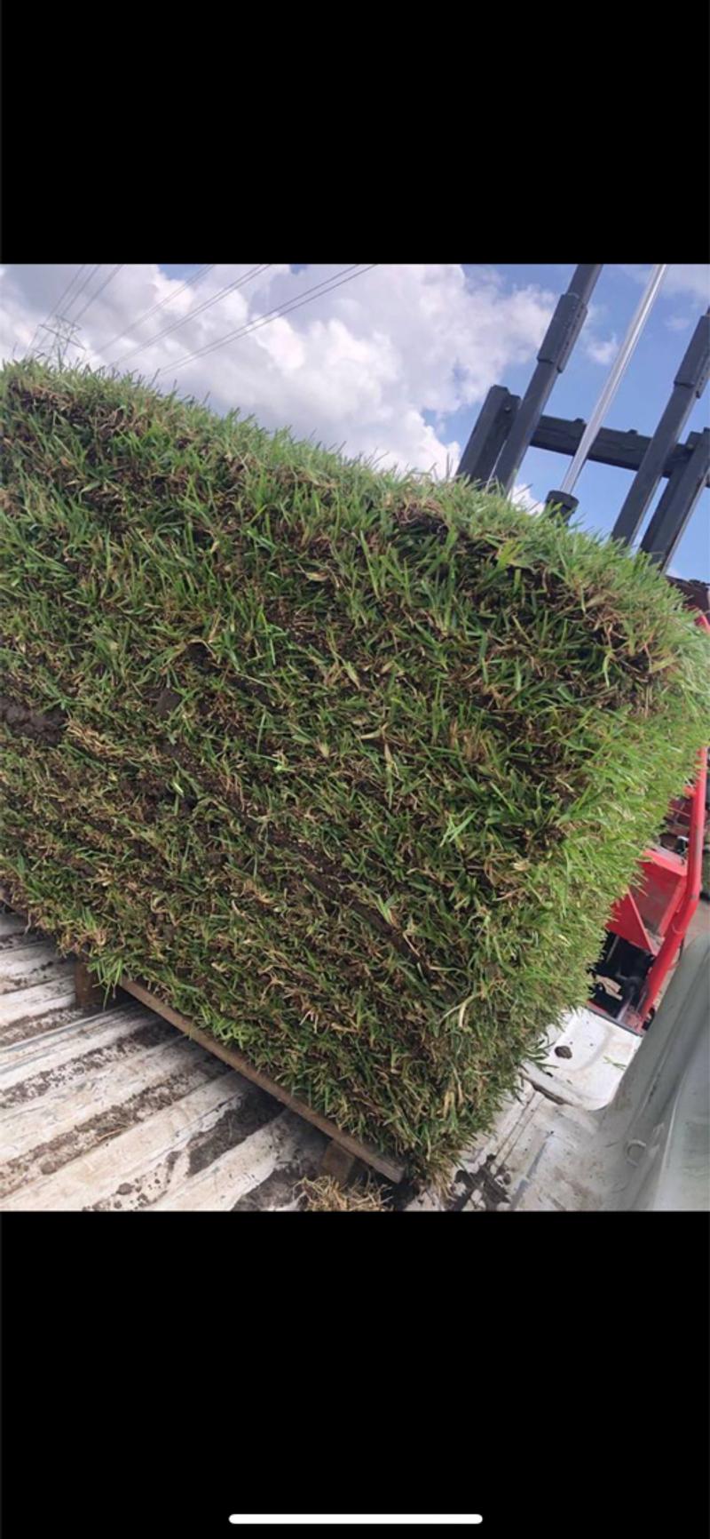 Grass Pallets (Free Delivery) for sale in Sugar Land, TX 5miles Buy
