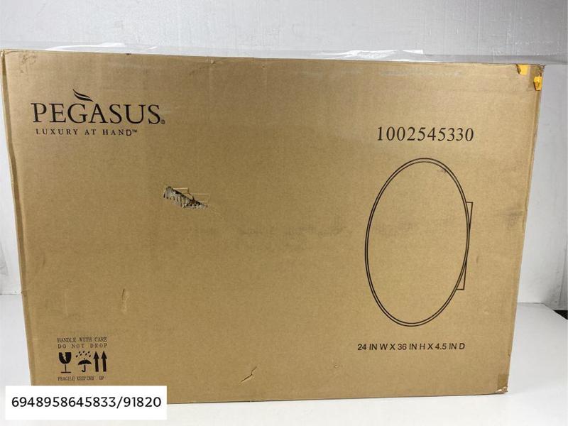 Pegasus 24 in. x 36 in. Recessed or SurfaceMount Oval Bathroom