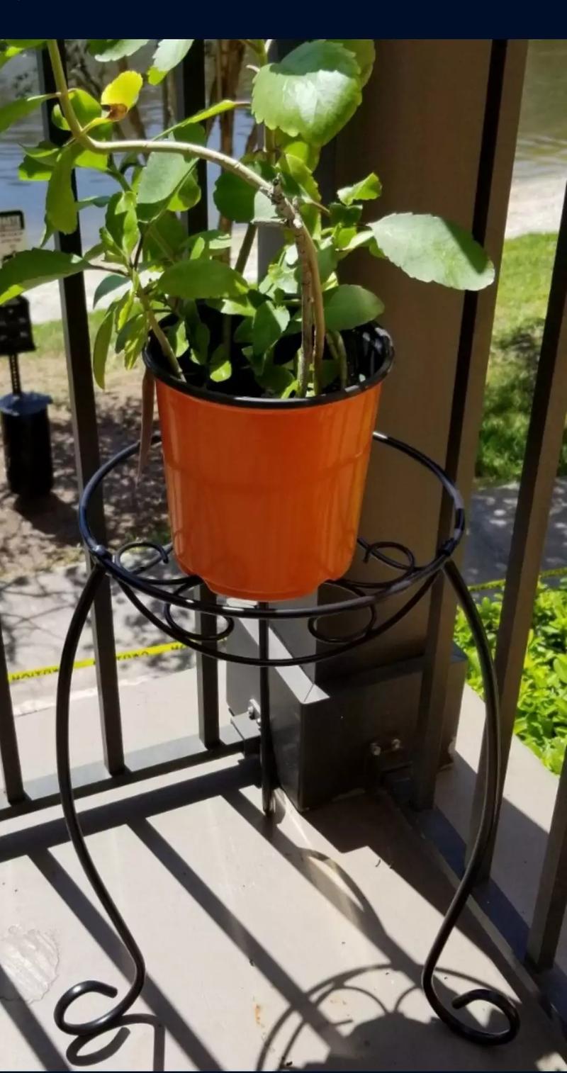 Small Black Plant Stand for sale in Orlando, FL 5miles Buy and Sell