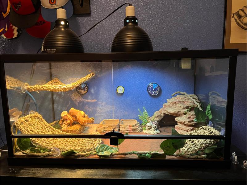 Reptile 40 gallon Terrarium with all accessories. Used only two months
