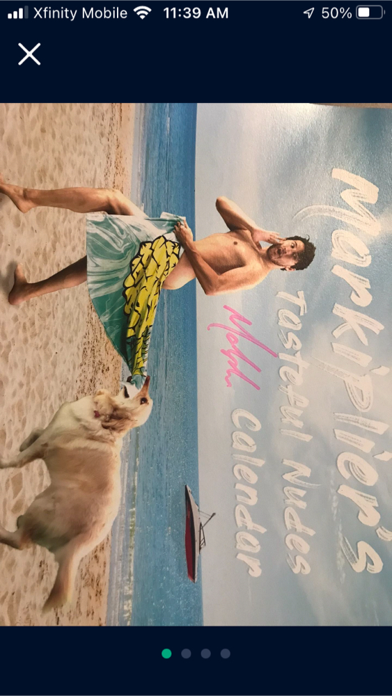 Markiplier Calendar for sale in Elmer, NJ - 5miles: Buy and Sell markiplier-calendar-for-sale-in-elmer-nj-5miles-buy-and-sell